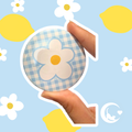 The Goodness Collection: Blue Gingham Floral Design